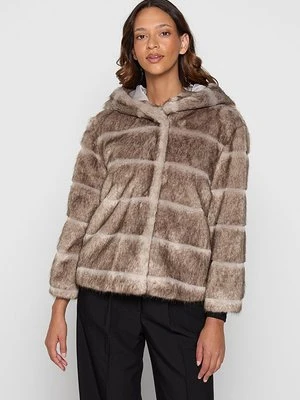 Kurtka przejściowa Gaudi