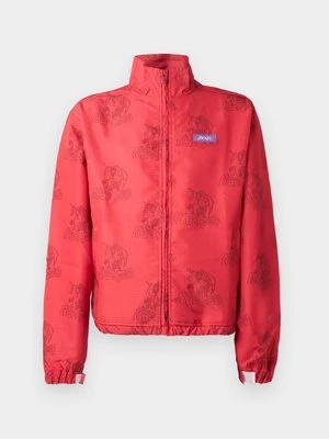 Kurtka przejściowa Jacker