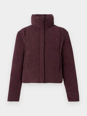 Kurtka przejściowa JDY