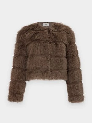 Kurtka przejściowa JDY