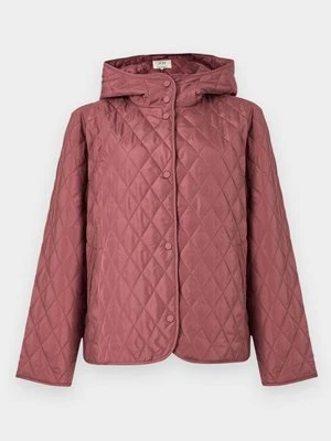 Kurtka przejściowa JDY