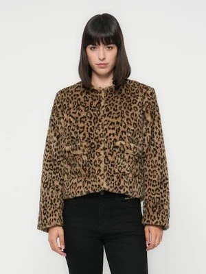 Kurtka przejściowa Maje