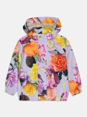 Kurtka przejściowa Molo