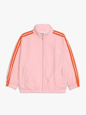 Kurtka przejściowa Molo