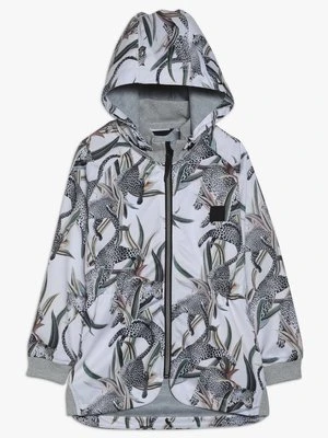 Kurtka przejściowa Molo