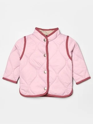 Kurtka przejściowa Molo