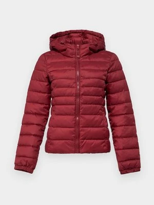 Kurtka przejściowa Only