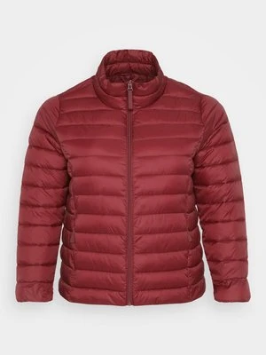 Kurtka przejściowa ONLY Carmakoma