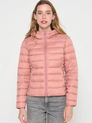 Kurtka przejściowa Only Petite