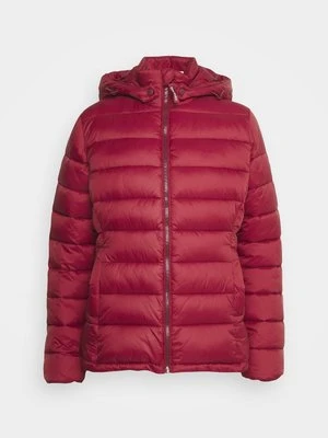 Kurtka przejściowa Pepe Jeans