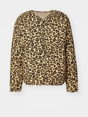 Kurtka przejściowa Stan Ray