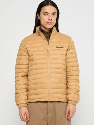 Kurtka przejściowa Timberland