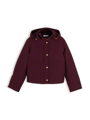 Kurtka przejściowa Tommy Hilfiger bordowy