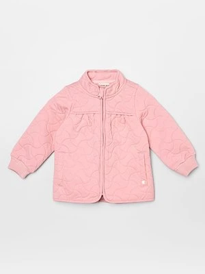 Kurtka przejściowa Wheat