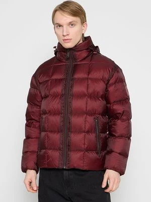 Kurtka puchowa Calvin Klein Jeans