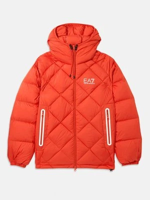 Kurtka puchowa EA7 Emporio Armani