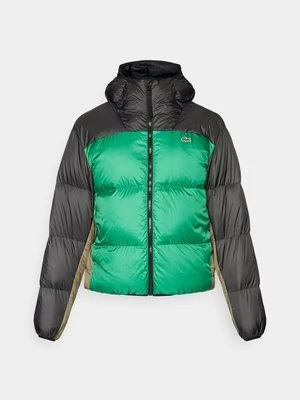 Kurtka puchowa Lacoste