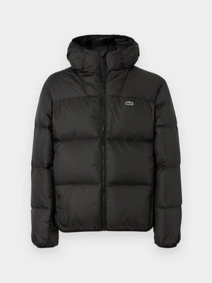 Kurtka puchowa Lacoste