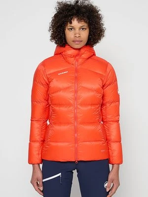 Kurtka puchowa mammut