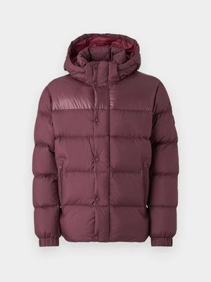 Kurtka puchowa Tommy Hilfiger