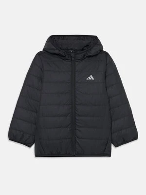 Kurtka Softshell adidas performance