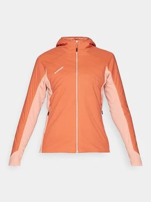 Kurtka Softshell mammut