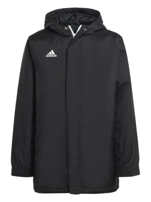 Kurtka sportowa Adidas czarny