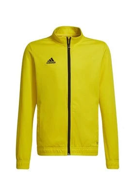 Kurtka sportowa adidas performance