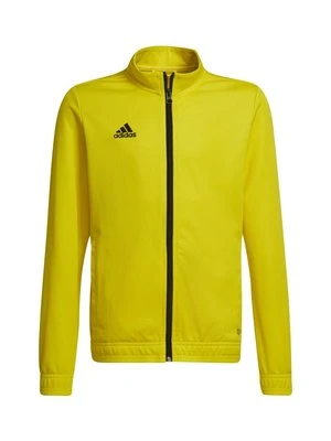 Kurtka sportowa adidas performance