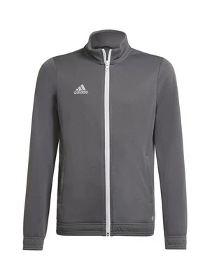 Kurtka sportowa adidas performance
