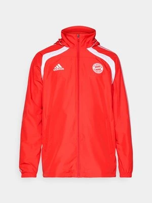 Kurtka sportowa adidas performance