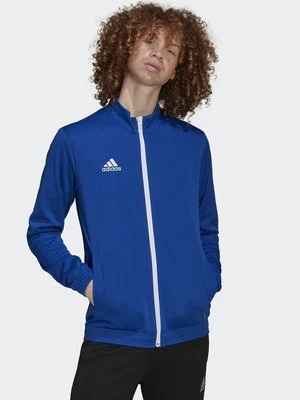 Kurtka sportowa adidas performance