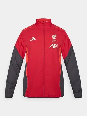 Kurtka sportowa Adidas czerwony