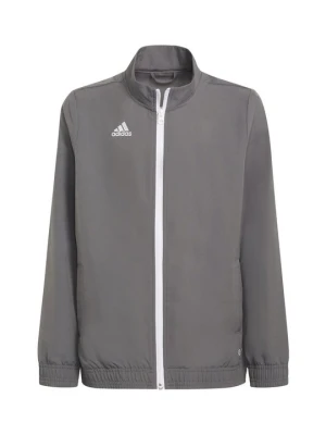 Kurtka sportowa Adidas szary