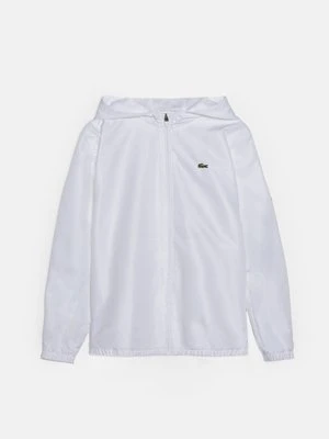 Kurtka sportowa Lacoste