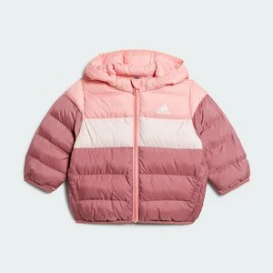 Kurtka Synthetic Down Adidas