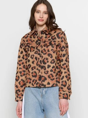 Kurtka wiosenna AllSaints