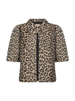 Kurtka wiosenna culture