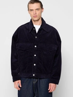 Kurtka wiosenna Études