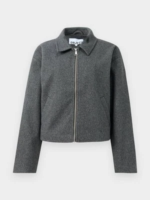 Kurtka wiosenna Object