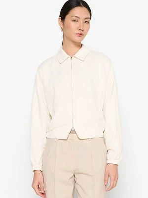 Kurtka wiosenna Theory