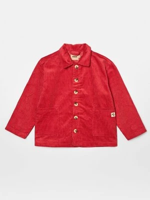 Kurtka wiosenna Wheat