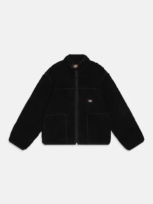 Kurtka z polaru Dickies