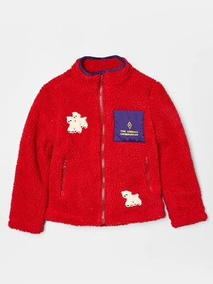 Kurtka z polaru THE ANIMALS OBSERVATORY