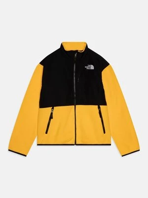Kurtka z polaru The North Face