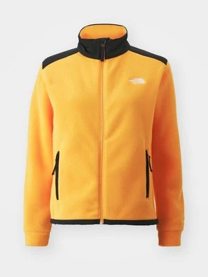 Zdjęcie produktu Kurtka z polaru The North Face