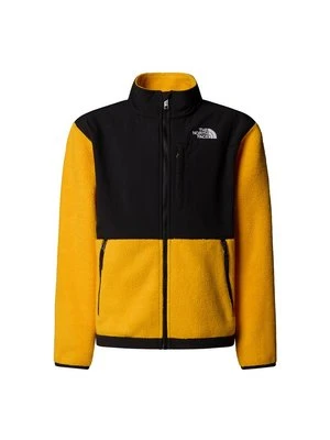 Kurtka z polaru The North Face