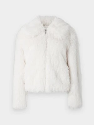 Kurtka zimowa Abercrombie & Fitch