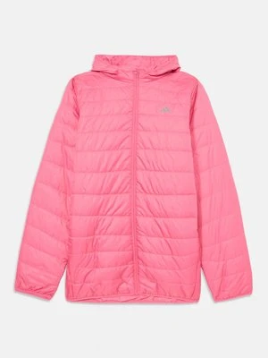 Kurtka zimowa adidas performance