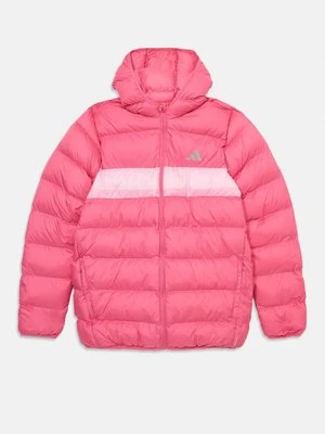 Kurtka zimowa adidas performance